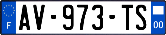 AV-973-TS