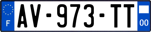 AV-973-TT
