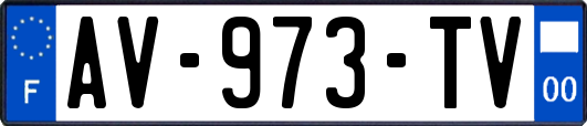 AV-973-TV