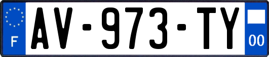 AV-973-TY