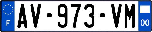 AV-973-VM