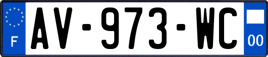 AV-973-WC