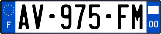 AV-975-FM
