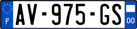 AV-975-GS