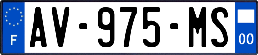 AV-975-MS