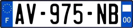 AV-975-NB