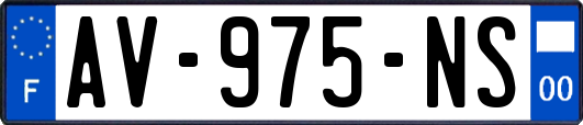 AV-975-NS