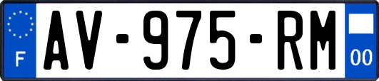 AV-975-RM