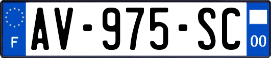 AV-975-SC