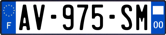 AV-975-SM
