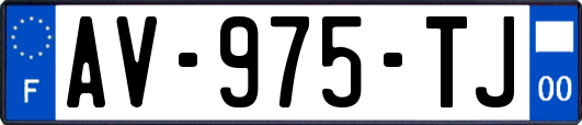 AV-975-TJ