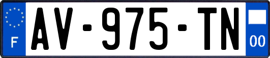 AV-975-TN