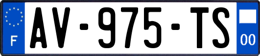 AV-975-TS