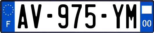 AV-975-YM