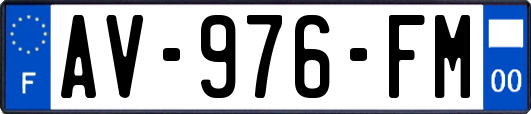 AV-976-FM