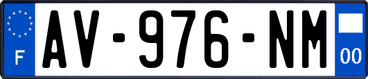 AV-976-NM