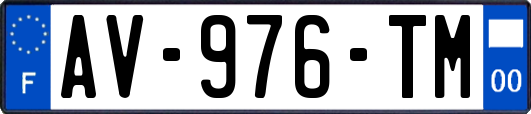 AV-976-TM