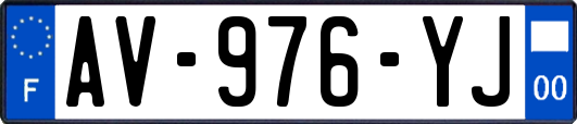 AV-976-YJ
