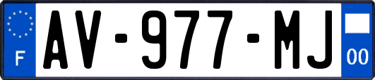 AV-977-MJ