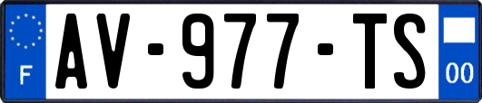 AV-977-TS