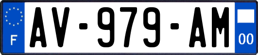 AV-979-AM