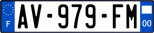 AV-979-FM