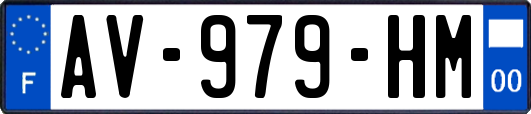 AV-979-HM