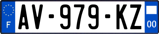 AV-979-KZ