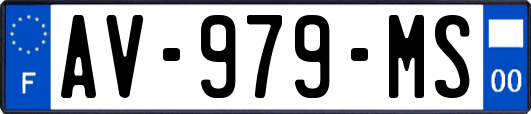 AV-979-MS