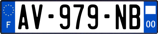 AV-979-NB