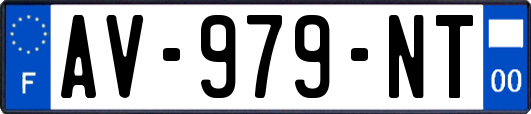 AV-979-NT