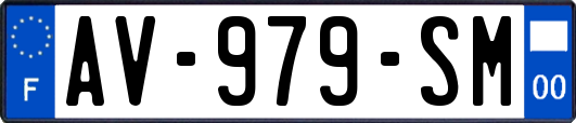 AV-979-SM