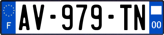 AV-979-TN