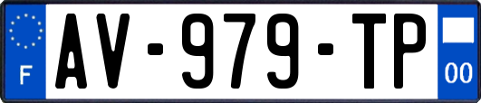 AV-979-TP