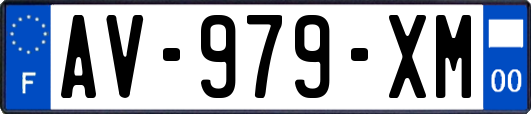 AV-979-XM