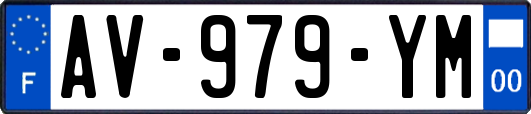 AV-979-YM