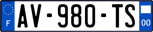 AV-980-TS