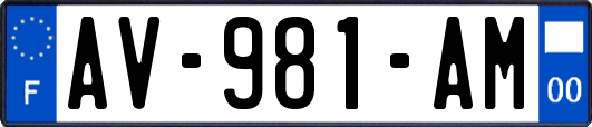 AV-981-AM