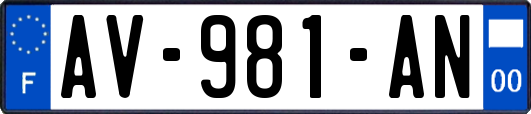 AV-981-AN