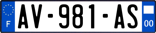 AV-981-AS