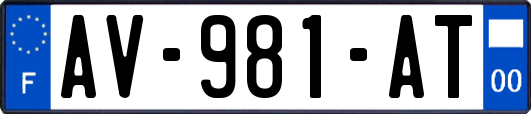 AV-981-AT