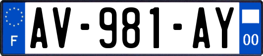 AV-981-AY