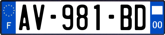 AV-981-BD