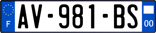 AV-981-BS