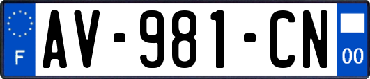 AV-981-CN