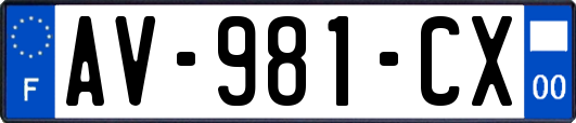 AV-981-CX