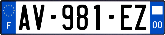AV-981-EZ