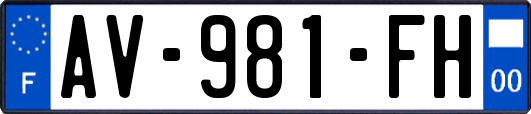 AV-981-FH