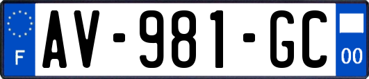 AV-981-GC