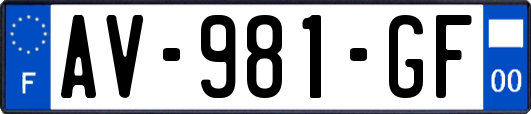 AV-981-GF